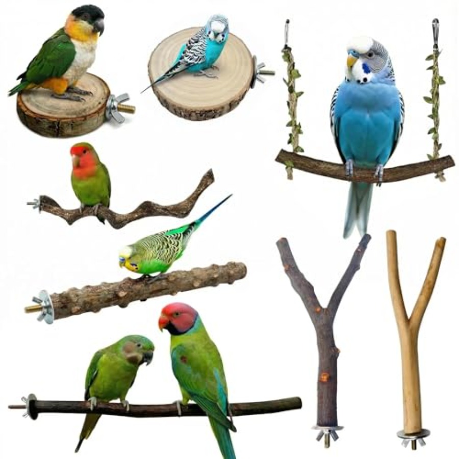 8PCS natural wood bird perches - огляд і ціна Health & Wellness Retailers