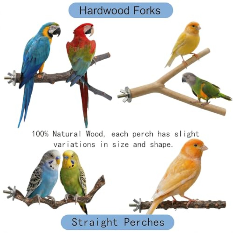 8PCS natural wood bird perches - огляд і ціна Health & Wellness Retailers